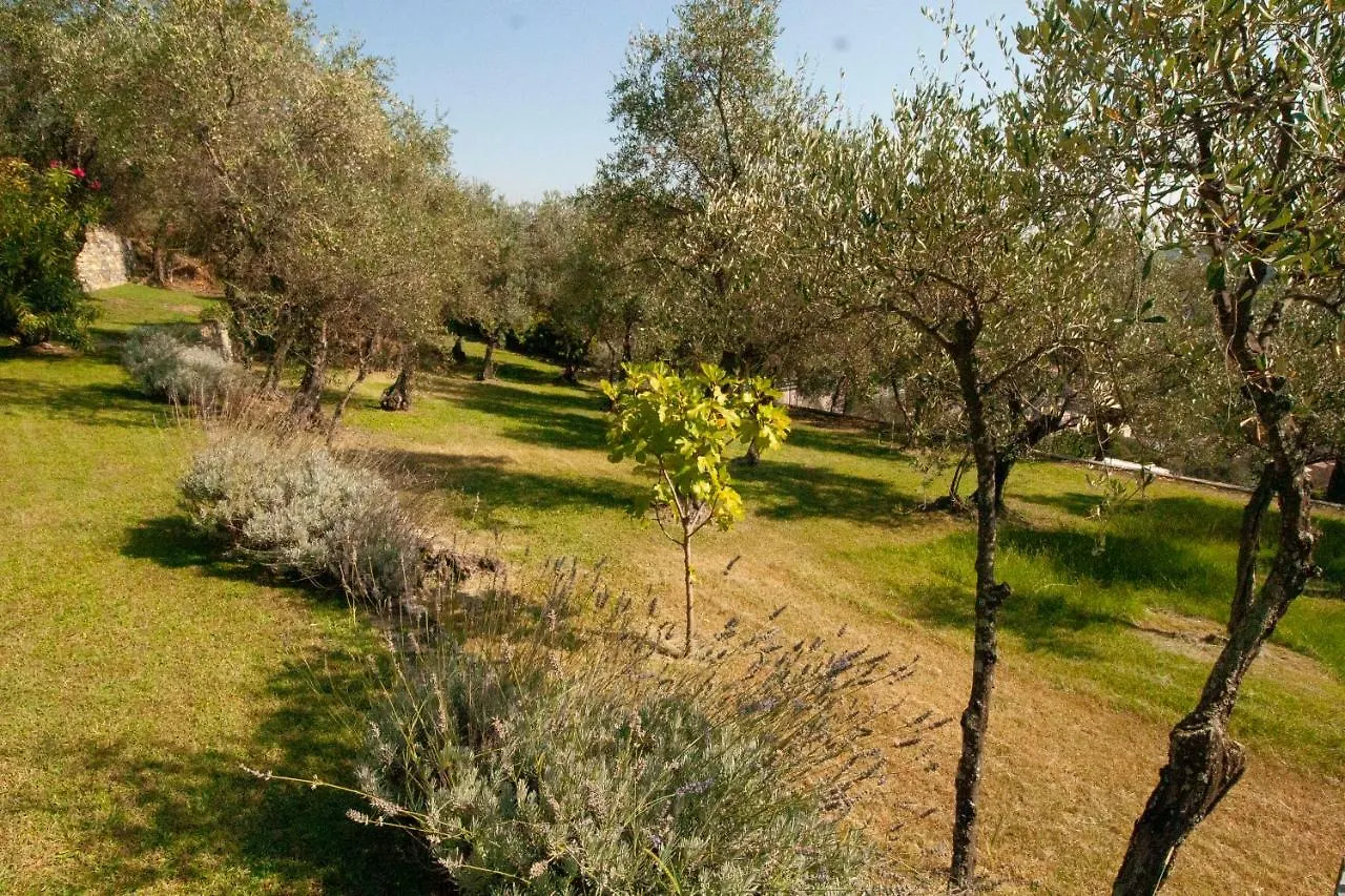 Casa Daisy Apartment San Lorenzo della Costa